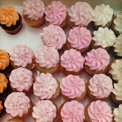 mini cupcakes at Mister Nice Guy's Bakeshop in Ascot Vale