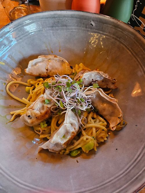 Gyoaza met noodles (en frietjes als side) at Flater Eten & Drinken in Ommen