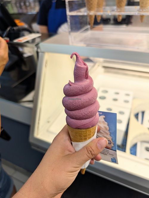 Crème molle vegan aux cerises at L'avalanche Des Glaces BAR LAITIER in Sainte-anne-des-plaines