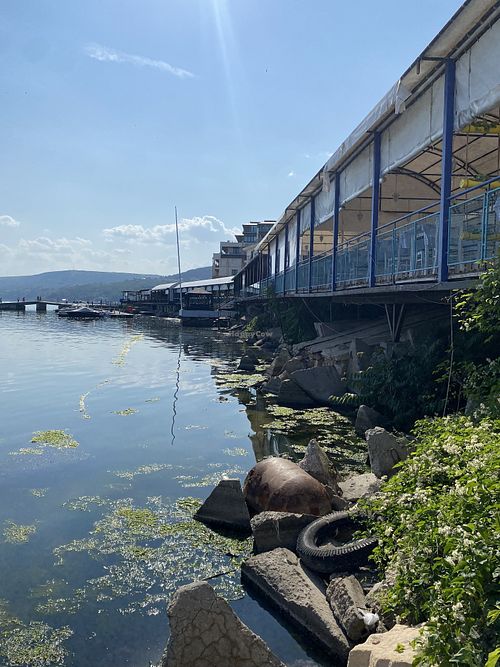 The area   at Selena in Balchik