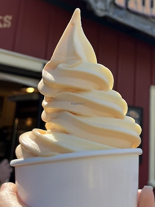 Pineapple, Orange Swirl Dole Whip  at Disney's Animal Kingdom - Tamu Tamu Refreshments in Lake Buena Vista