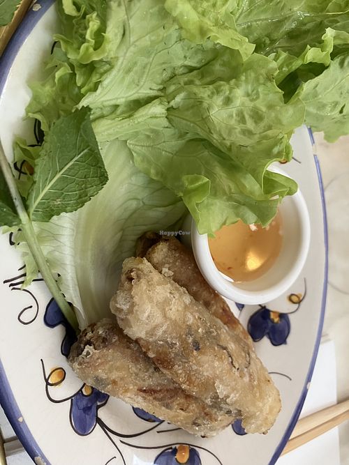 Vegan starter  at Camargue Social Club in Arles