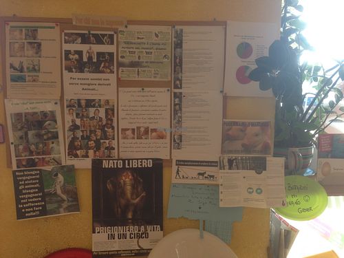 Bulletin board at L Edy Pizza in Ponte Tresa