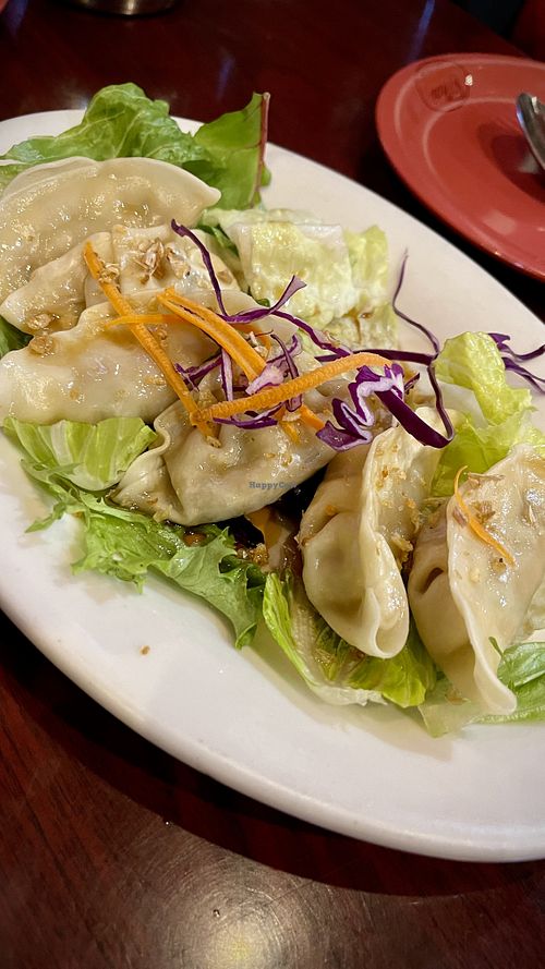 Dumplings  at Thai Heritage & Vegan - Nob Hill in Albuquerque