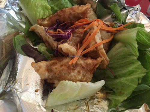 red chili dumplings  at Thai Heritage & Vegan - Nob Hill in Albuquerque