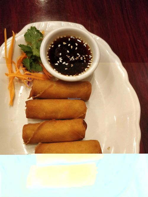 springrolls  at Thai Heritage & Vegan - Nob Hill in Albuquerque