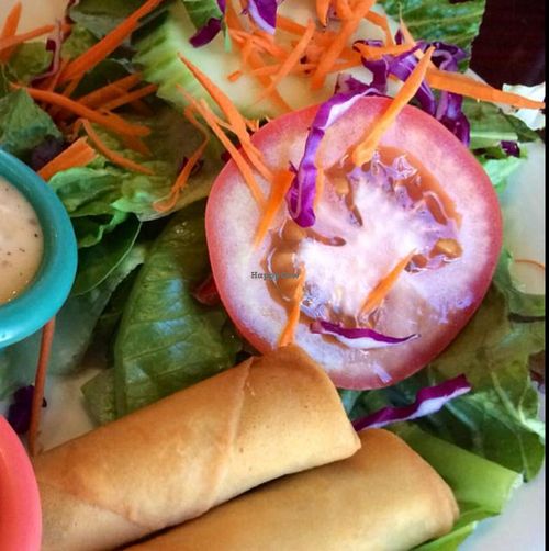 spring rolls and salad  at Thai Heritage & Vegan - Nob Hill in Albuquerque