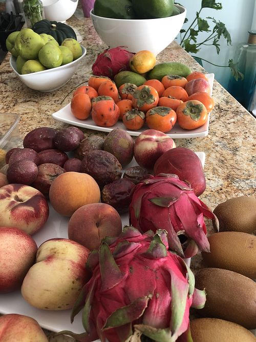   at Plant Powered Adventure in Columbia