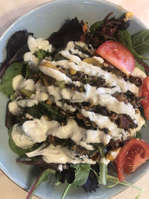   at Plant Powered Adventure in Columbia