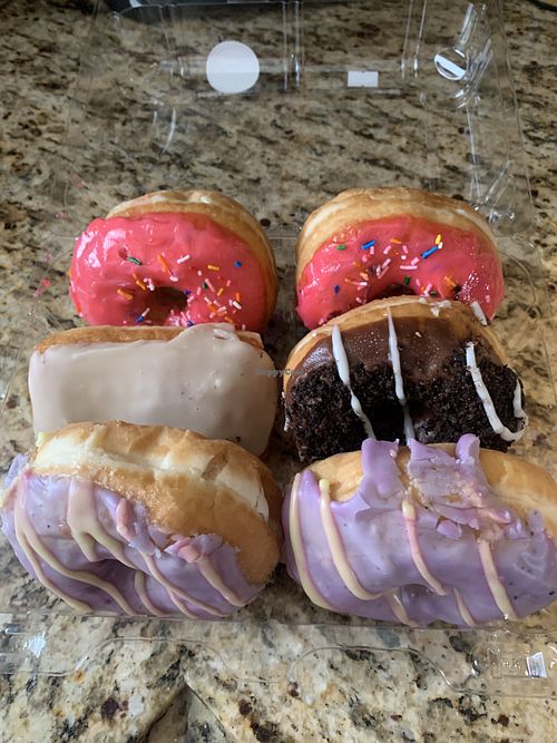   at Halo Donuts in Moncton