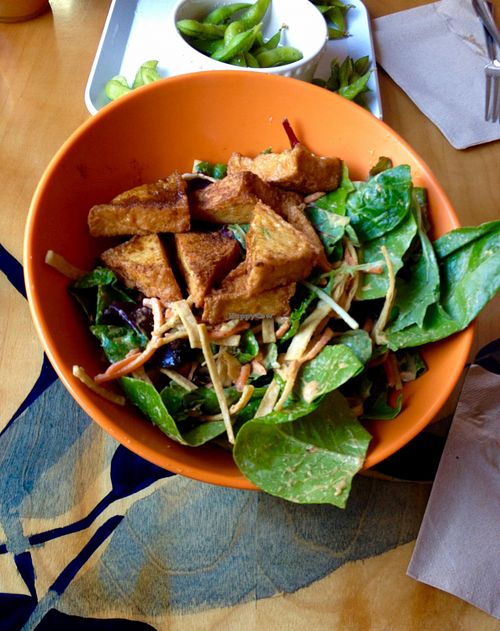 Jerk Tofu Salad at Green New American Vegetarian in Tempe
