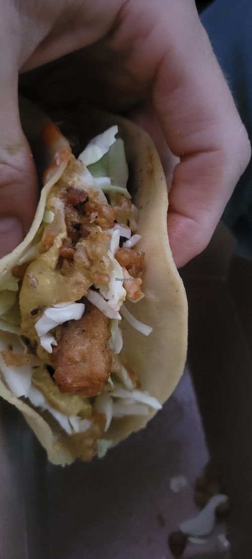 Faux phish taco at Green New American Vegetarian in Tempe