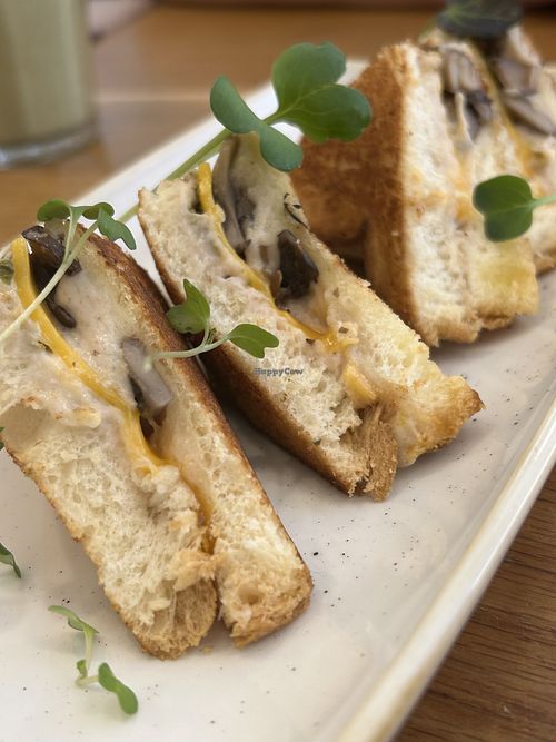 3 mature cheese and mushroom toastie  at botànic in Barcelona