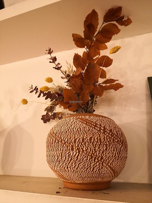 Loved these at botànic in Barcelona