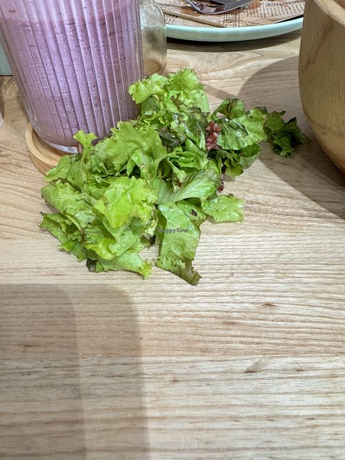Should never serve wilted veggies. Attention to detail and higher standards will make this place excellent    at IVEGAN SUPERSHOP BEN THANH - Healthy Plant Based Cafe in Ho Chi Minh City