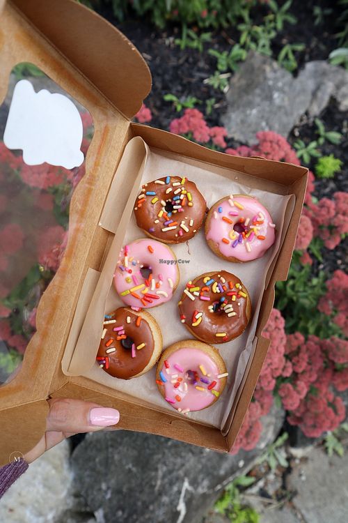 Image of Monster Baby Donuts - Pop up