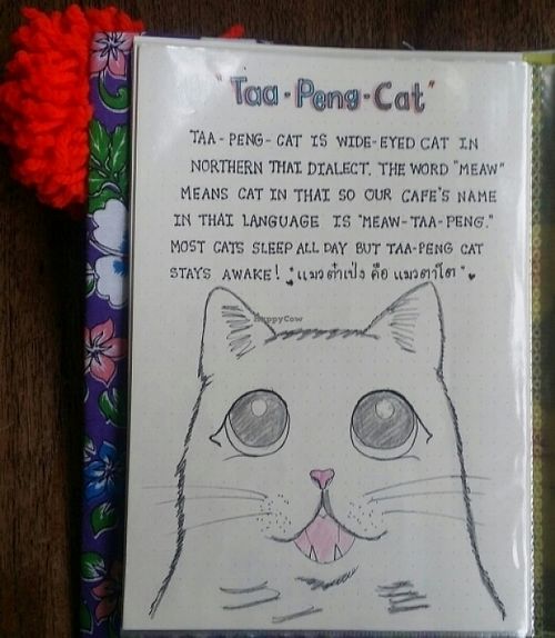 Taa Peng Cat at Taa Peng Cat Coffee and Eatery in Chiang Mai