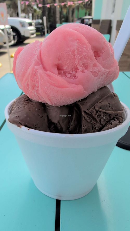 Watermelon sorbet, to die for chocolate, and toasted coconut at The Waffle Cone in Flagler Beach