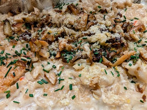 Mushroom Risotto at Zest Kitchen & Bar in Salt Lake City