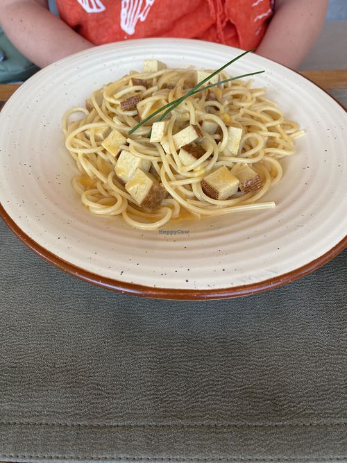 Creamy pasta with tofu   at Olíva in Stari Grad