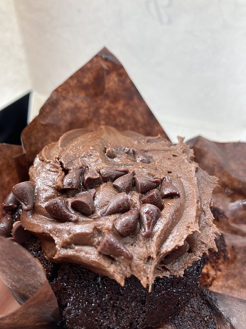 Chocolate muffin (got squashed carrying it back)  at Botham's of Whitby Baxtergate in Whitby