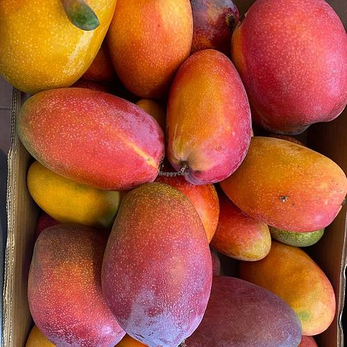  at Sąžiningas ūkis - Benedikto turguje - Maybe closed in Vilnius