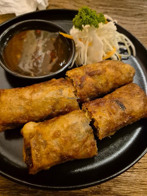 Fried spring rolls at Memory Restaurant in Prague