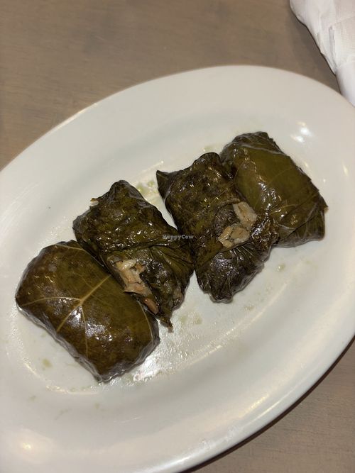 hand-rolled dolmades  at Taverna Opa Orlando  in Orlando