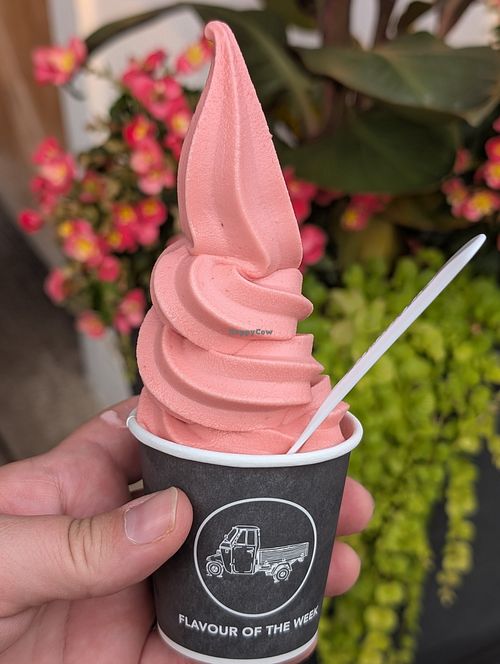 Ontario sour cherry at Bar Ape Gelato in Toronto