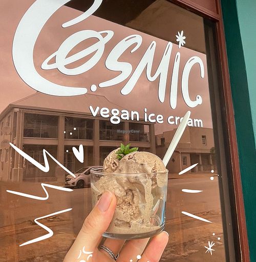  at The Wildflower ecoshop & COSMIC Vegan Ice Cream in Western Cape