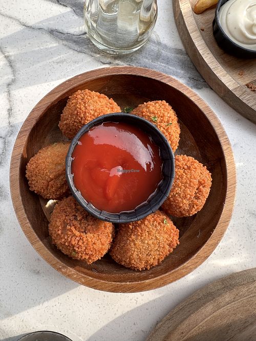   at OhMA Gent in Ghent