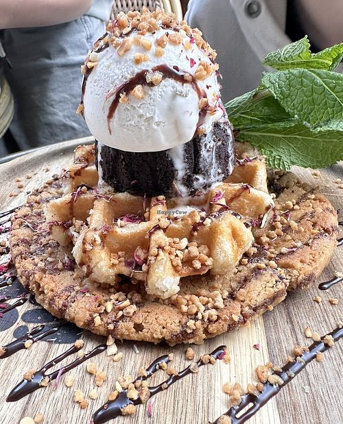   at OhMA Gent in Ghent