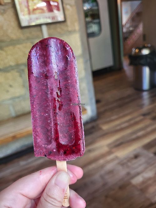  at The Hyppo - George St in St Augustine