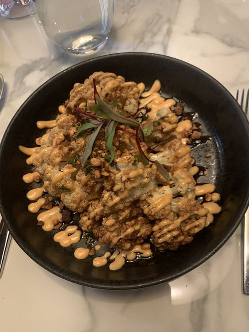 EDGE Denver Colorado Restaurant HappyCow