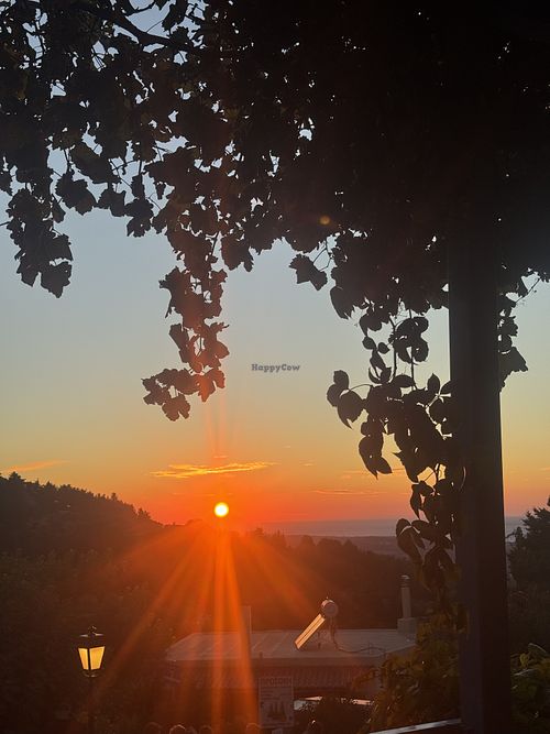 Sunset view   at Taverna Avli in Kos