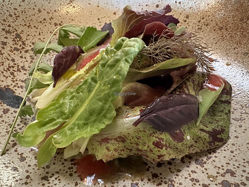 Salad   at The Second Story at Little Saint in Healdsburg