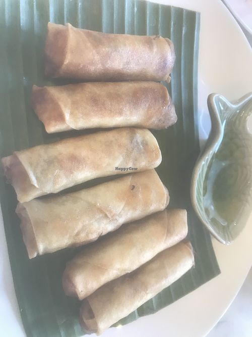 Vegan spring rolls  at Kin & Koff Café in Bangkok