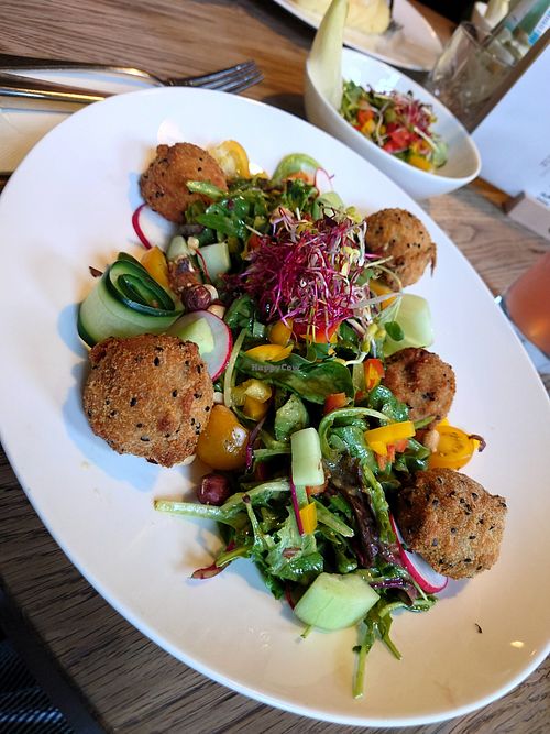 Salat mit "Falafel" at Hotel zum Löwen in Duderstadt