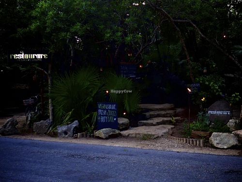 Delicious food, one of my favorite vegan restaurants I have ever eaten! Really special to find such beautiful food in the middel of the jungle, the atmosphere is great.. For everybody who loves food, my carnivore friends didn't miss meat at all :-) at Restaurare in Tulum