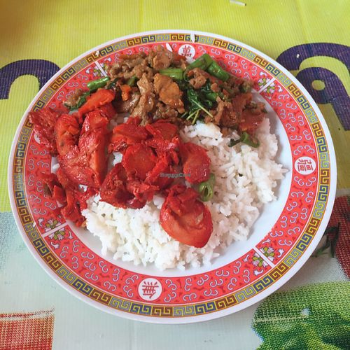 Mock meat with rice at Vegan Thai Food Stalls in Bangkok