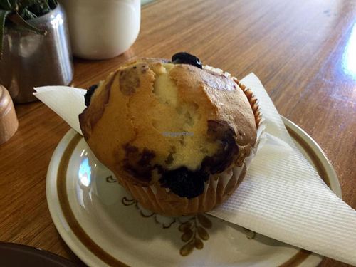 Blueberry muffin at Crumbs Organic Bakehouse in Kensington