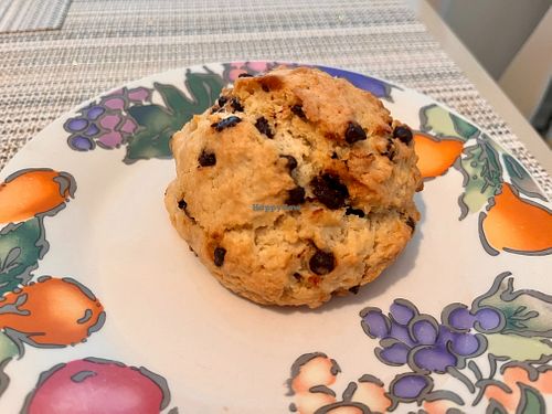 Chocolate Chip Scone at Magic Brain Cafe in Cape May