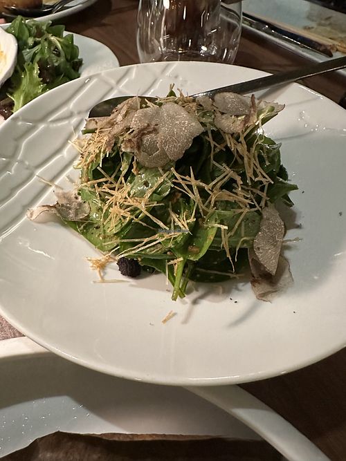  at SACHI in Geneva