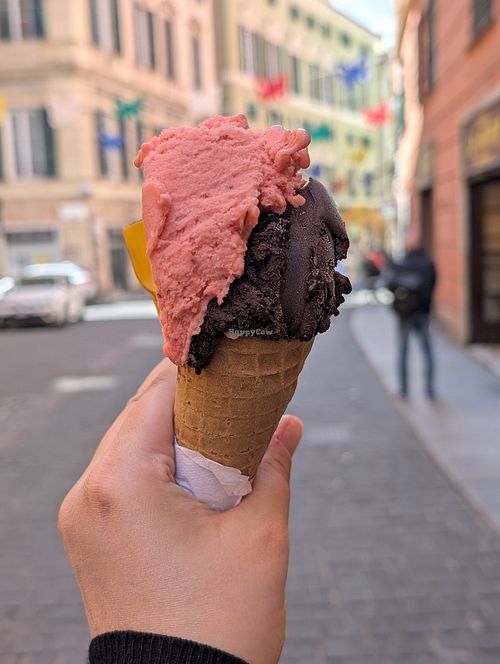  at Profumo di Rosa in Genoa