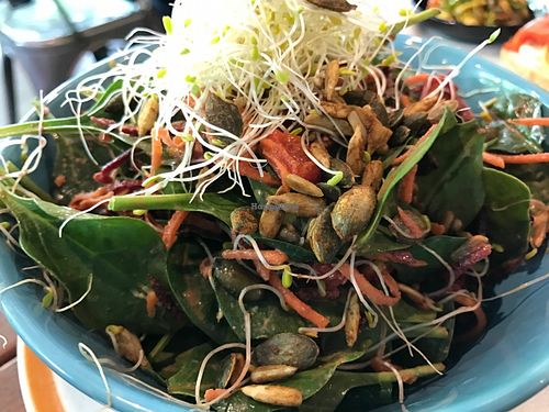 Sweet Bones Wildwood Salad at Sweet Bones Bakery Cafe in Scullin