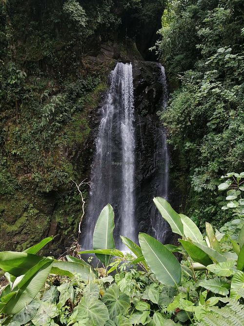  at El Tigre Waterfalls Monteverde in Monteverde