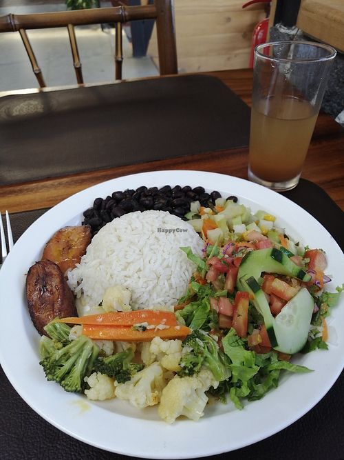  at El Tigre Waterfalls Monteverde in Monteverde