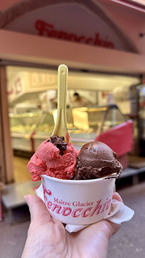 Raspberry and chocolate   at Fenocchio - Rue de la Poissonnerie in Nice
