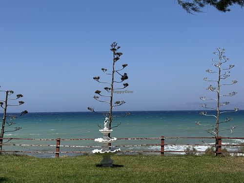 View from table  at Taverna Ta Filarakia in Rhodes