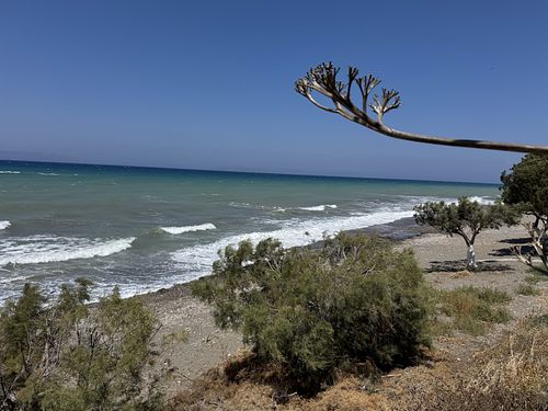 View  at Taverna Ta Filarakia in Rhodes